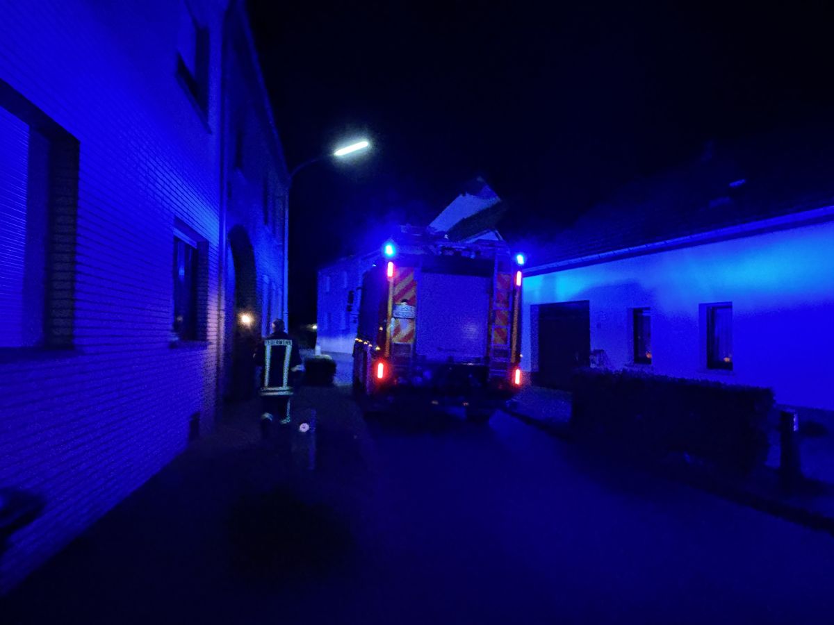 LF20 bei Nacht mit Blaulicht und Feuerwehmann mit Fackel in der Hand.
