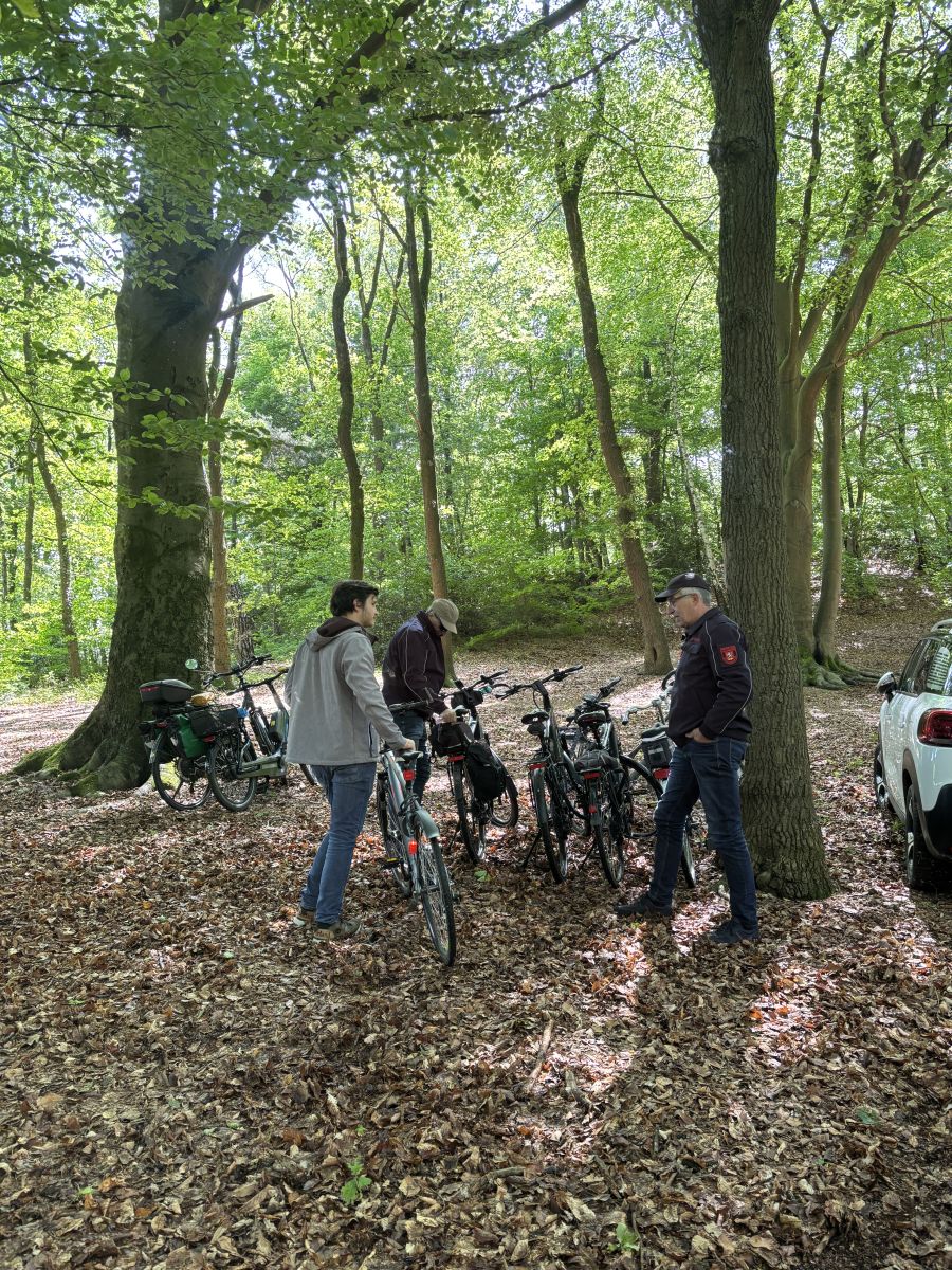 Fahrräder beim Waldfest an einem Baum geparkt