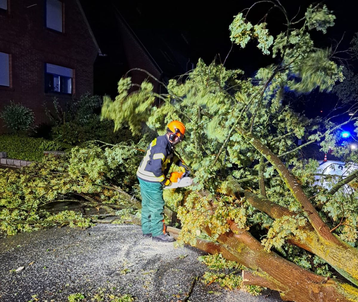Ein Feuerwehrmann schneidet einen umgefallenen Baum in der Dunkelheit.