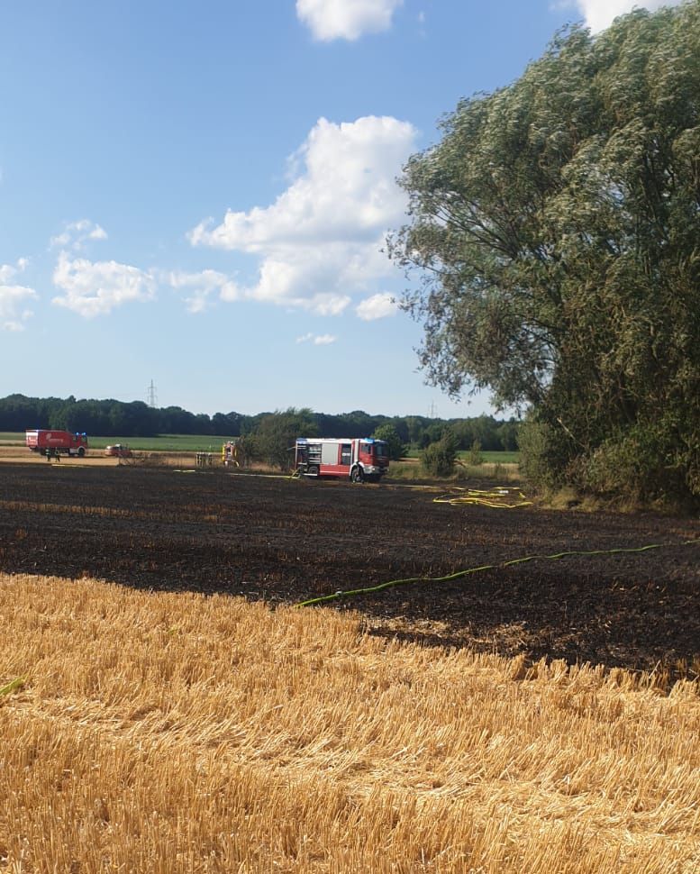 Gelöschtes, verkohltes Feld im hinteren Bild. Trockenes Feld im Vordergrund.