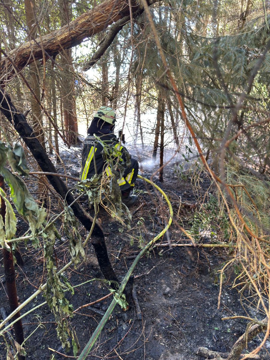 Feuerwehrmann hockt im Wald und löscht diesen.